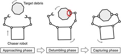 Repeated Impact-Based Capture of a Spinning Object by a Dual-Arm Space Robot